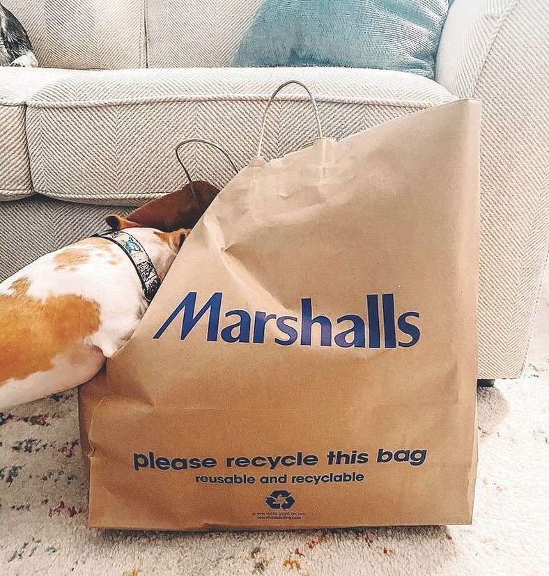 Paws what you’re doing and head to Marshalls for a shopping spree!