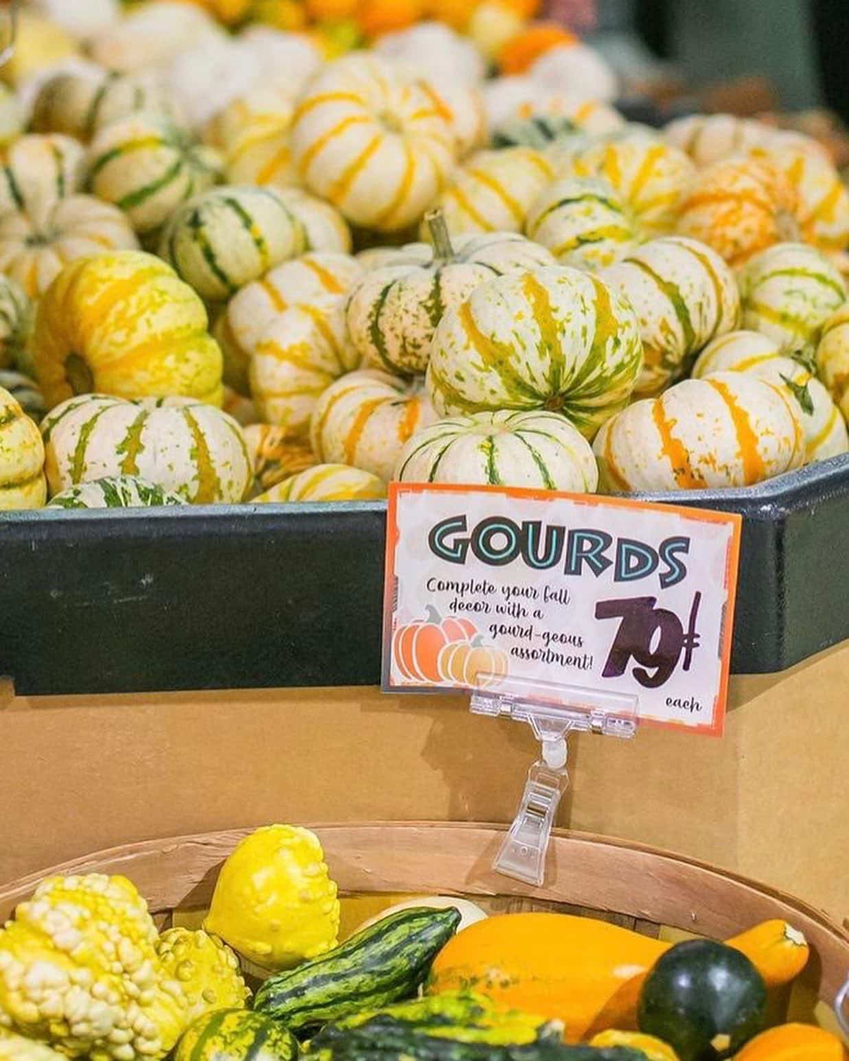 Oh my gourd, it’s pumpkin season!

Swipe to see some of our seasonal favorites from Trader Joe’s!